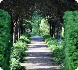 Terrace/Garden